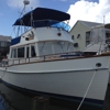 Dauphin Island Marina gallery