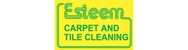 Esteem Carpet Cleaning - Carpet Cleaning & Protection