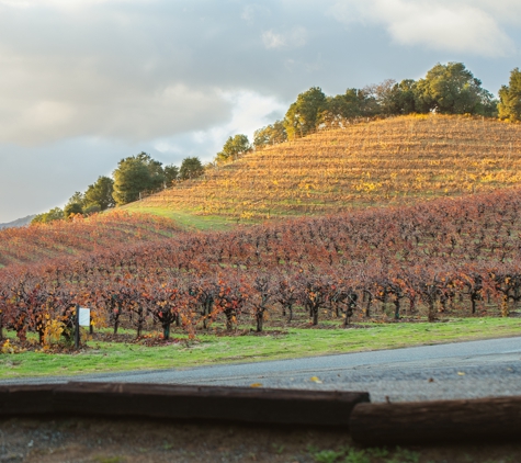 Pedroncelli Winery - Geyserville, CA