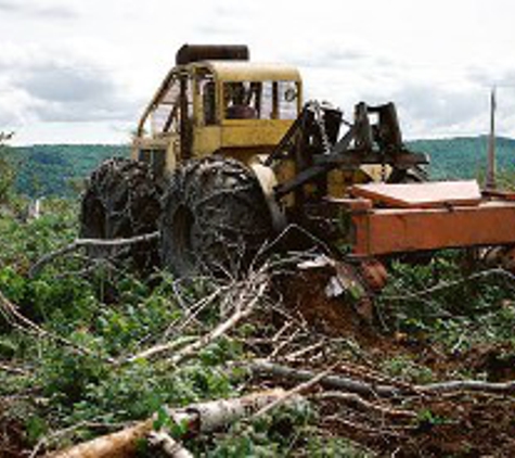 Papendieck's Tree Service - Salem, OR