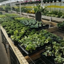 Rice's Greenhouses Inc - Greenhouse Builders & Equipment