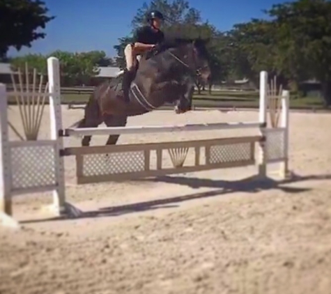 Equines & Equestrians, Inc. - Delray Beach, FL