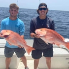 Top Cat Sportfishing Charters