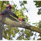 Rushton Tree Service