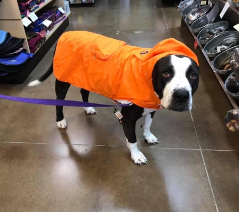 Canine Utopia - Vancouver, WA