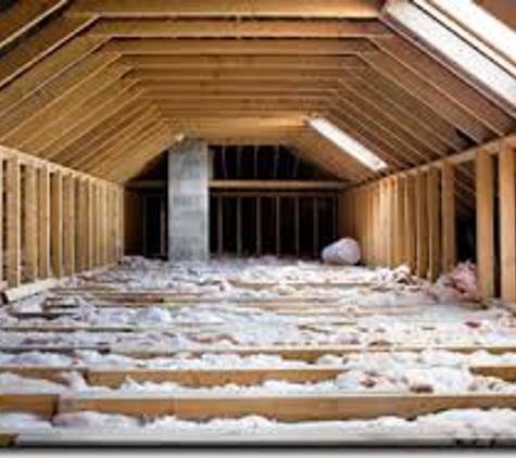 Asbestos Abatement Professionals - Portage, MI