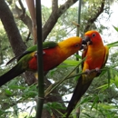 Zaksee Florida Bird Sanctuary - Environmental, Conservation & Ecological Organizations