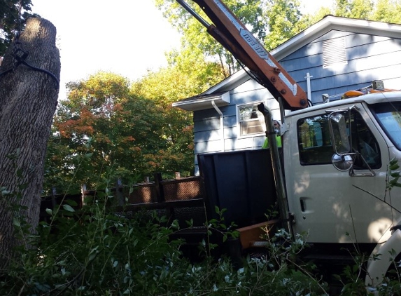 Tree Masters of Danbury - Danbury, CT