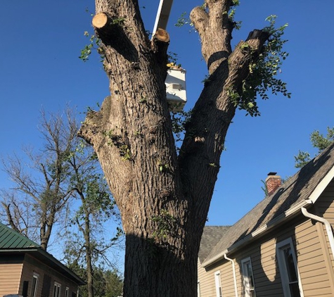 Brother's Tree Service, L.L.C. - Wheatfield, IN