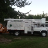 Bob's  Tree Service gallery