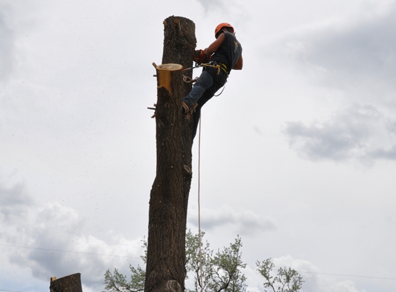 Abiding Dreams Tree Removal - Bowling Green, VA