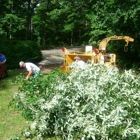 Berryman Tree Services Huntsville