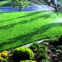 Mesquite Landscape & Lawn Care