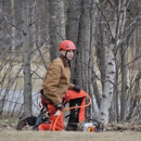 Three Trees Tree Service - Arborists