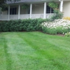 TrustyCare Lawn Care, LLC gallery