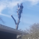 Capital Tree Service - Tree Service