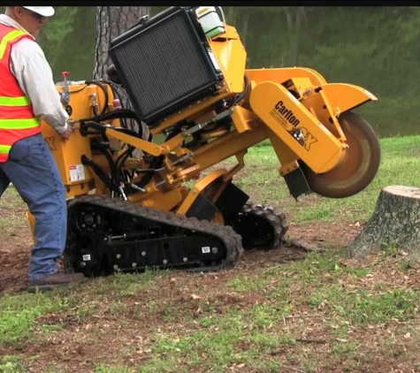 S&S Property Maintenance Tree Service - Springfield, OH. Stump Grinding