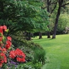 Yorktowne Lawns Inc gallery