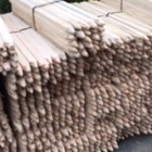 Ludo's Thick and Thin Lumber