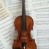 Karen Donato Violin Studio gallery