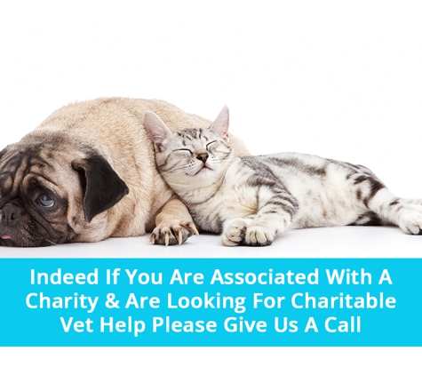 Sunshine Beach Veterinary Surgery - Sunshine Beach, QLD. Indeed If You Are Associated With A Charity & Are Looking For Charitable Vet Help Please Give Us A Call
