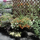 London Florist Greenhouse Ctr - Nurseries-Plants & Trees