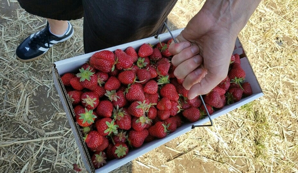 Abbott Farms - Baldwinsville, NY