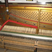 Gallery Image Number 3