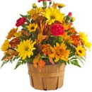 Stephenson's Flowers & Gifts - Florists