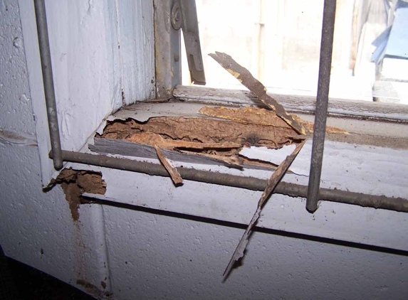Advantage Pest Control - Unanderra, NSW