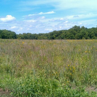 Kill Creek Park - Olathe, KS