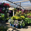 Encinal Nursery gallery