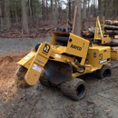 ACE Professional stump grinding - Landscape Designers & Consultants