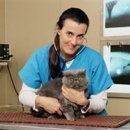 Valley Animal Hospital - Veterinarians