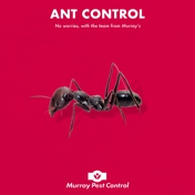 Gallery Image Number 2