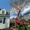 Friendly Tree Service Inc gallery