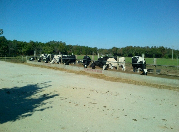 Happy Cow Creamery - Pelzer, SC