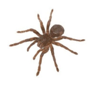 Gallery Image Number 3