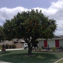 Chad's Chippers Tree Service - Tree Service