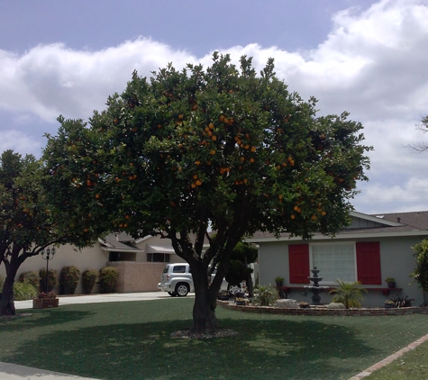 Chads Chippers Tree Service - Lancaster, CA