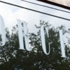 Porcini gallery