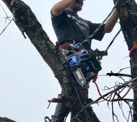 Out On A Limb Tree Service - Norman, OK