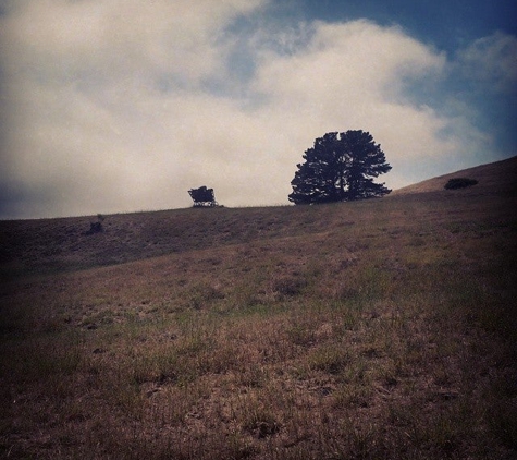 Djerassi Resident Artists Program - Redwood City, CA