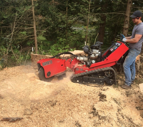 Pacific Northwest Tree Services - Olympia, WA