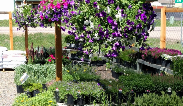 McCord's Garden Center and Landscaping - Monument, CO