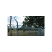 Gallery Image Number 7