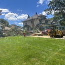 Arbor Grove Tree Care - Tree Service