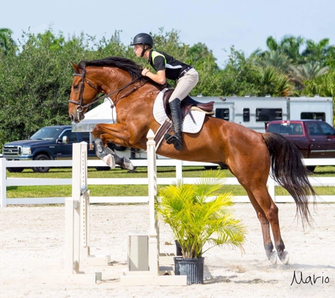 Seacrest Show Stables - Mooresboro, NC. Jumping training, instruction