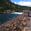 Cole River Hatchery - Fish Hatcheries