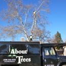 About Trees - Tree Service
